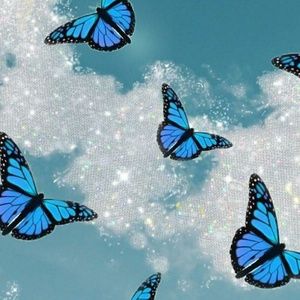 Meet your Posher, Aylah